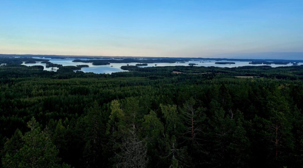 Ilmakuva metsämaisemasta, jossa taustalla vesistöä.