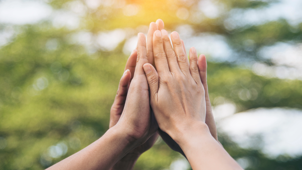 Useita käsiä kokoontuu yhteen ja antaa ryhmälle high five ulkona, taustalla auringonvalo ja vihreät sumeat puut.